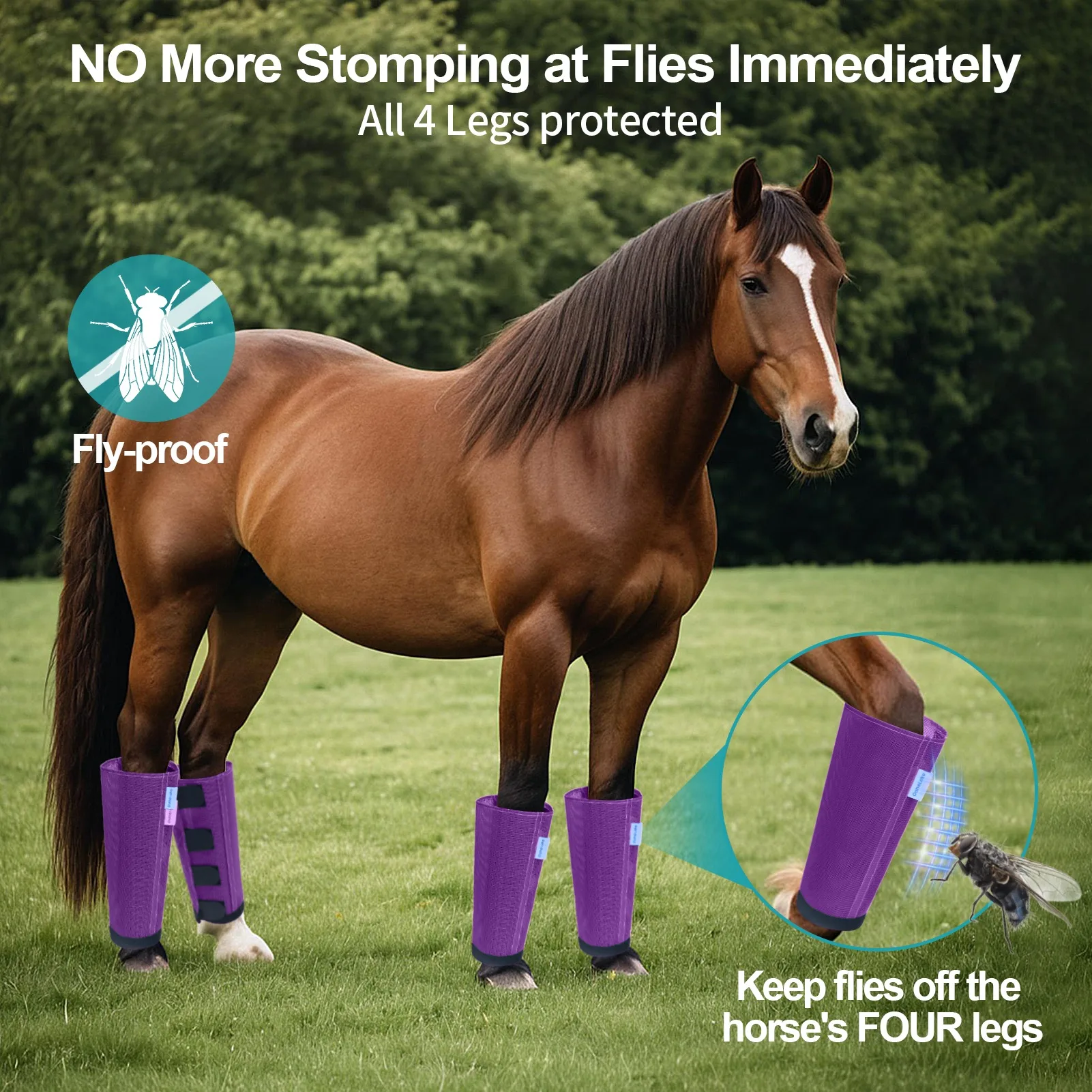 Mesh Horse Fly Boots Set of 4, Loose Fitting Leggings for Horses, Reduce Stressful Stomping, Breathable Adjustable and Universal Fit for 4 Legs, Reliable Stay Put (Purple) - Image 11