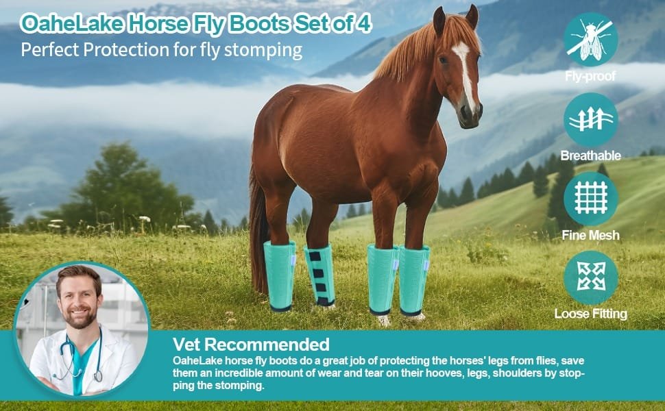 Mesh Horse Fly Boots Set of 4, Loose Fitting Leggings for Horses, Reduce Stressful Stomping, Breathable Adjustable and Universal Fit for 4 Legs, Reliable Stay Put(Mint) - Image 8